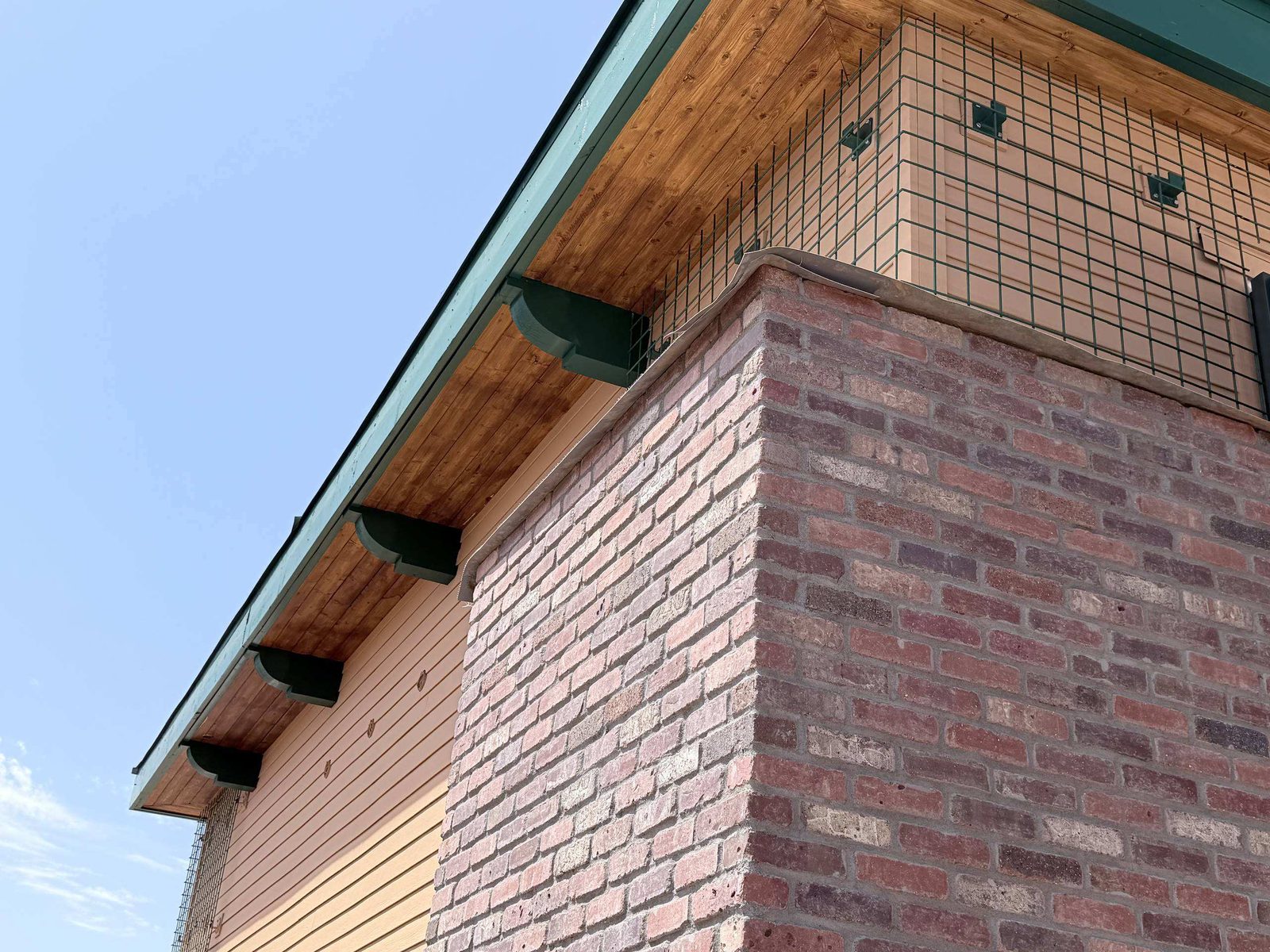 Welded wire mesh accents